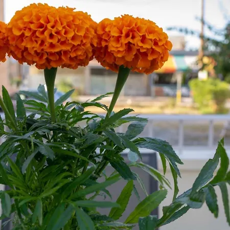 Feriehus The Secret Ontas, Traditional Stone House *